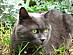 View full size picture