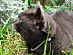 View full size picture