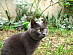 View full size picture