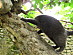 View full size picture