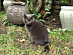 View full size picture