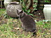 View full size picture