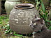 View full size picture
