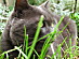 View full size picture
