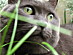 View full size picture