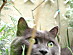 View full size picture