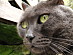 View full size picture