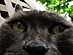 View full size picture