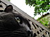 View full size picture