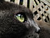View full size picture