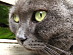 View full size picture