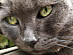 View full size picture