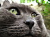 View full size picture