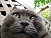View full size picture
