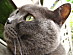 View full size picture