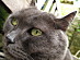 View full size picture