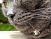 View full size picture