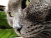 View full size picture