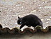 View full size picture