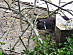 View full size picture