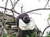 View full size picture