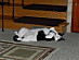 View full size picture