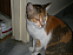 View full size picture