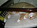 View full size picture