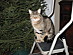 View full size picture