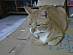 View full size picture