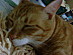 View full size picture