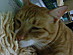 View full size picture