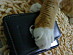 View full size picture