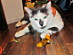 View full size picture