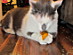 View full size picture