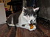 View full size picture