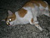 View full size picture