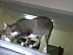 View full size picture