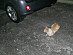 View full size picture