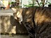 View full size picture