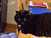 View full size picture
