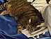 View full size picture
