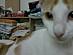 View full size picture