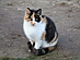 View full size picture