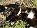 View full size picture