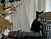View full size picture