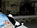 View full size picture