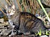 View full size picture