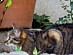 View full size picture