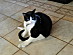 View full size picture